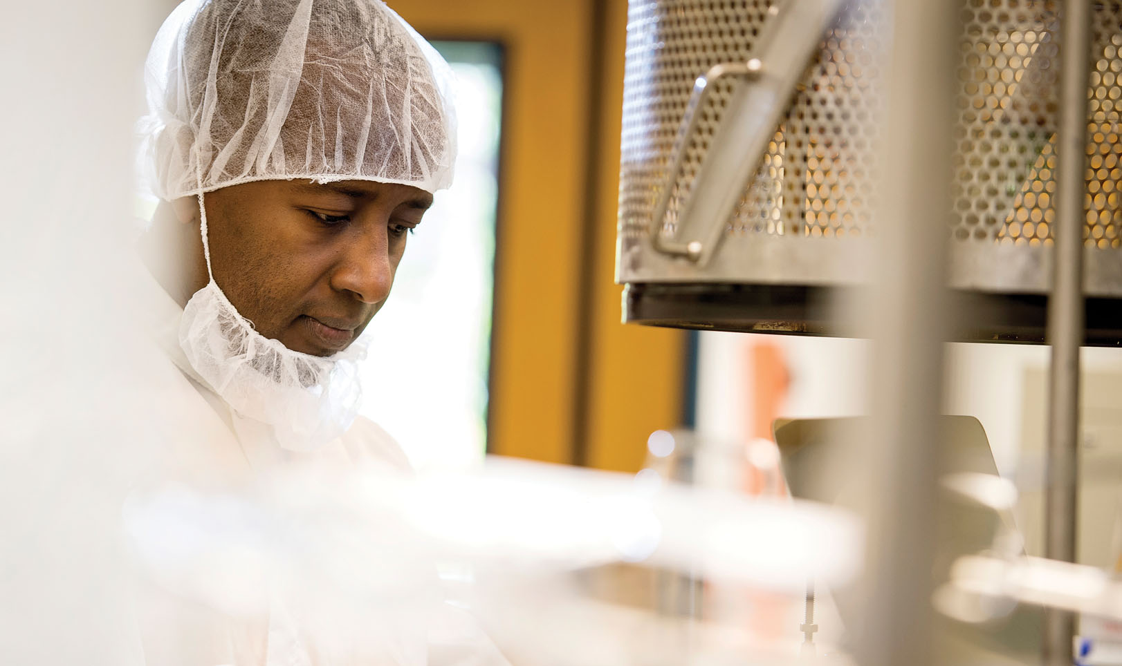 A researcher working in a lab