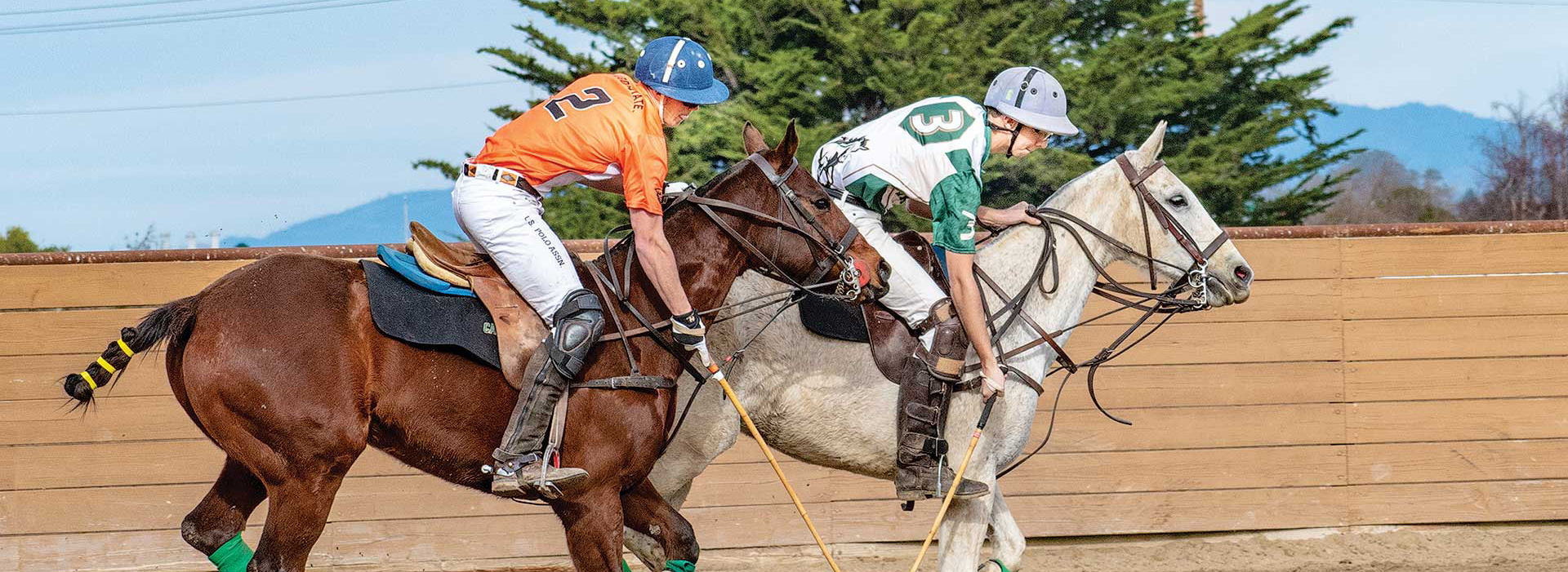 Two people riding horses in polo gear swinging mallets.