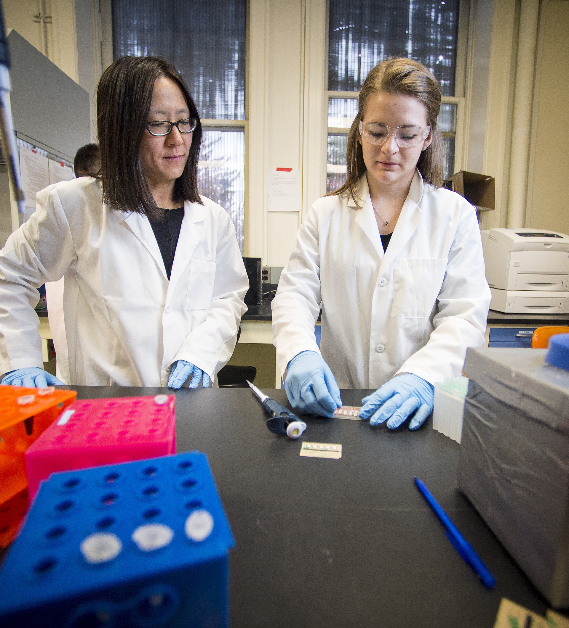 Elain Fu, bioengineering professor, watching a student organize lab samples.