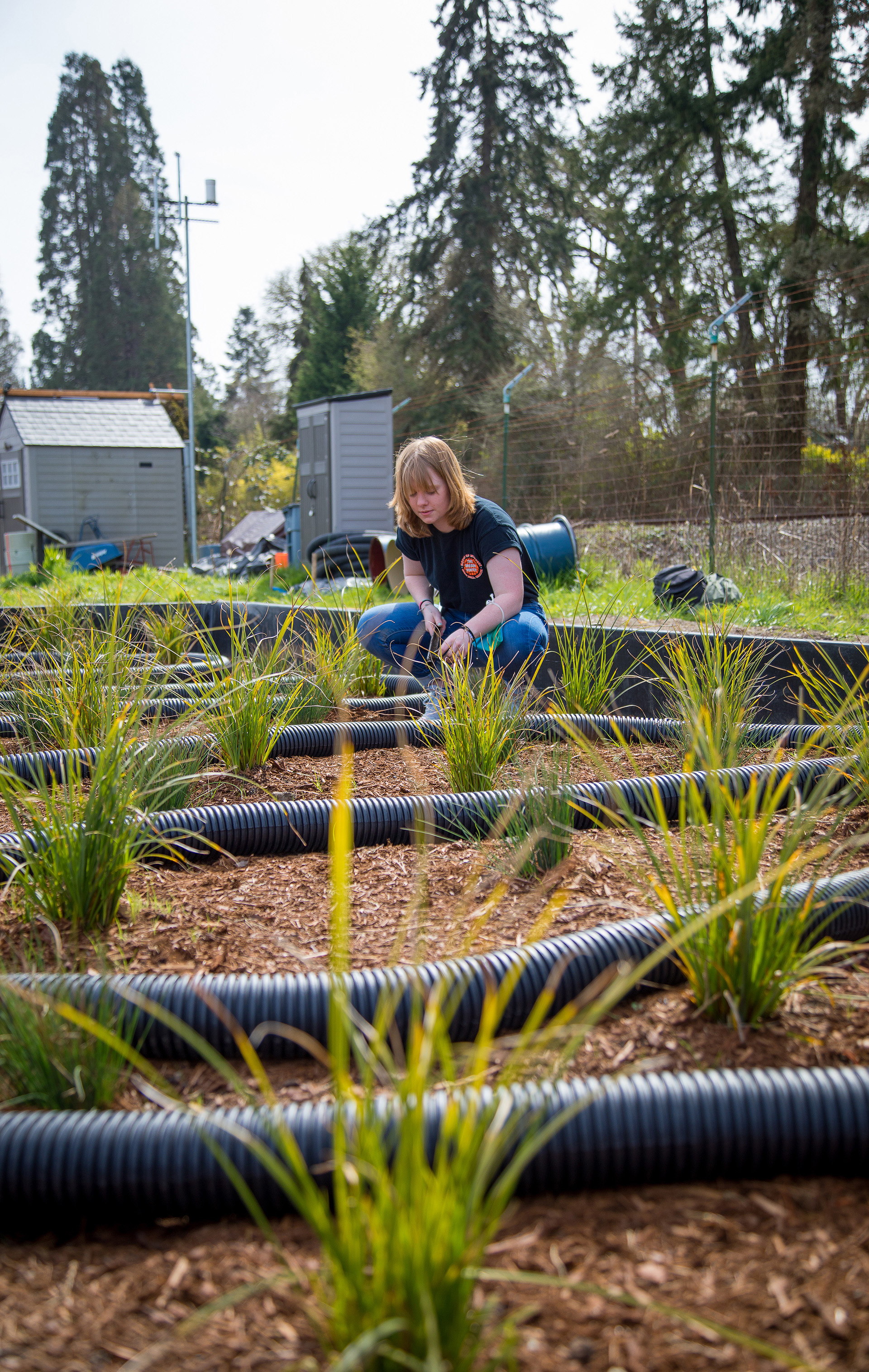 An environmental engineering student tending to plants in garden.