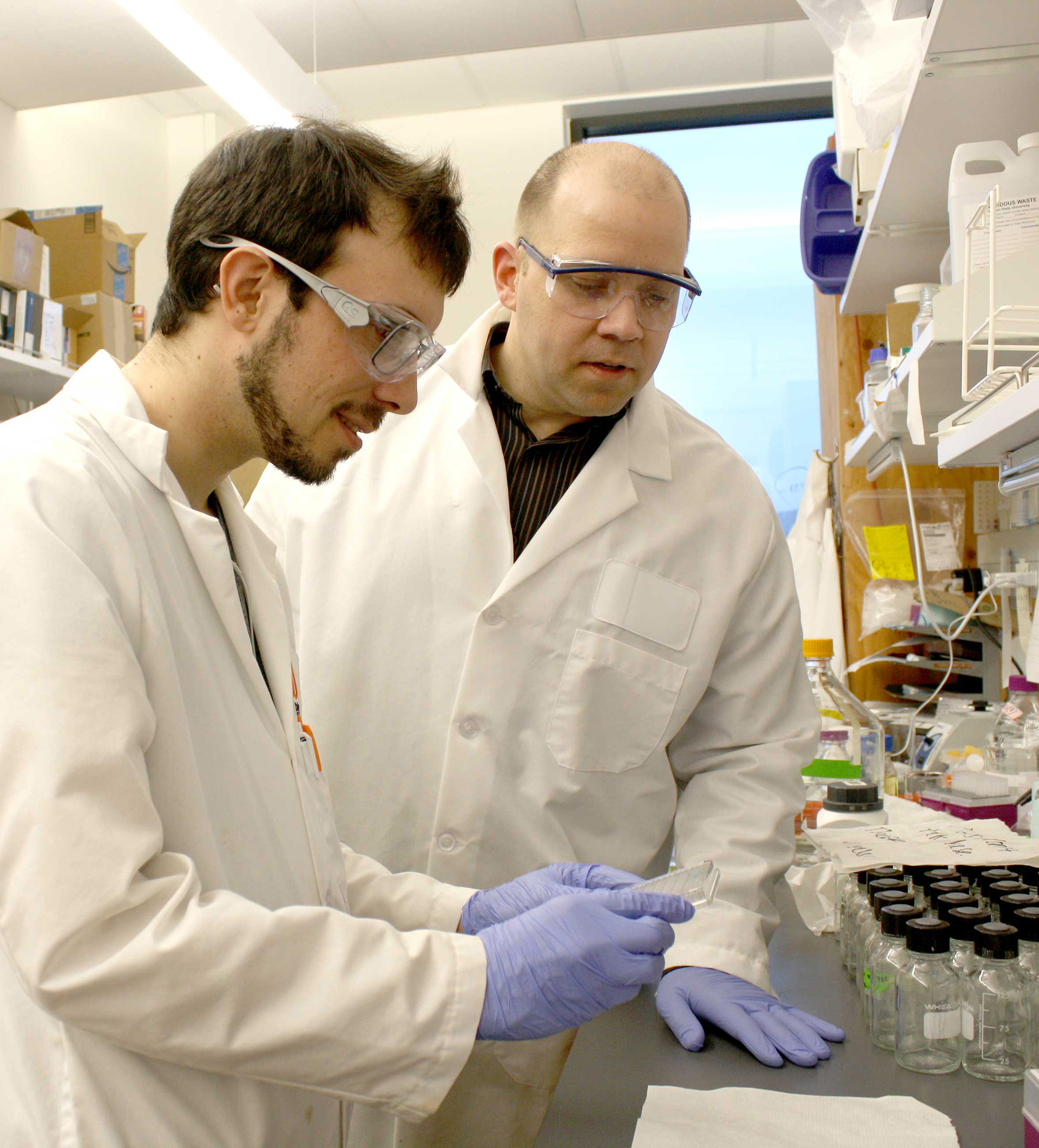 Environmental engineering faculty member Tyler Radniecki examining some laboratory samples with a student.