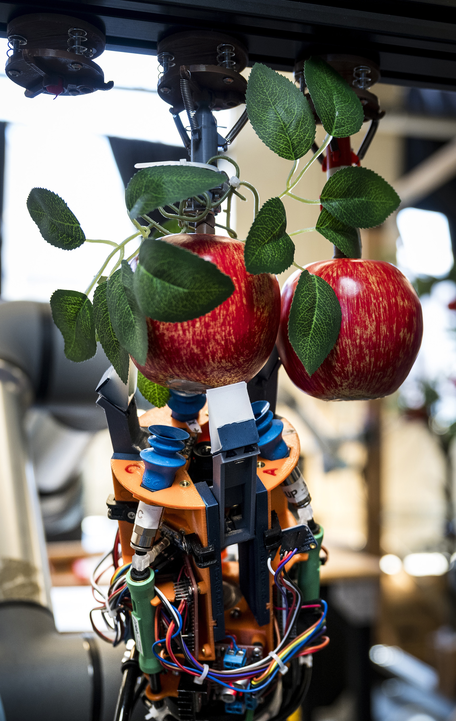 Unspecified lab equipment pointed towards a synthetic apple tree.