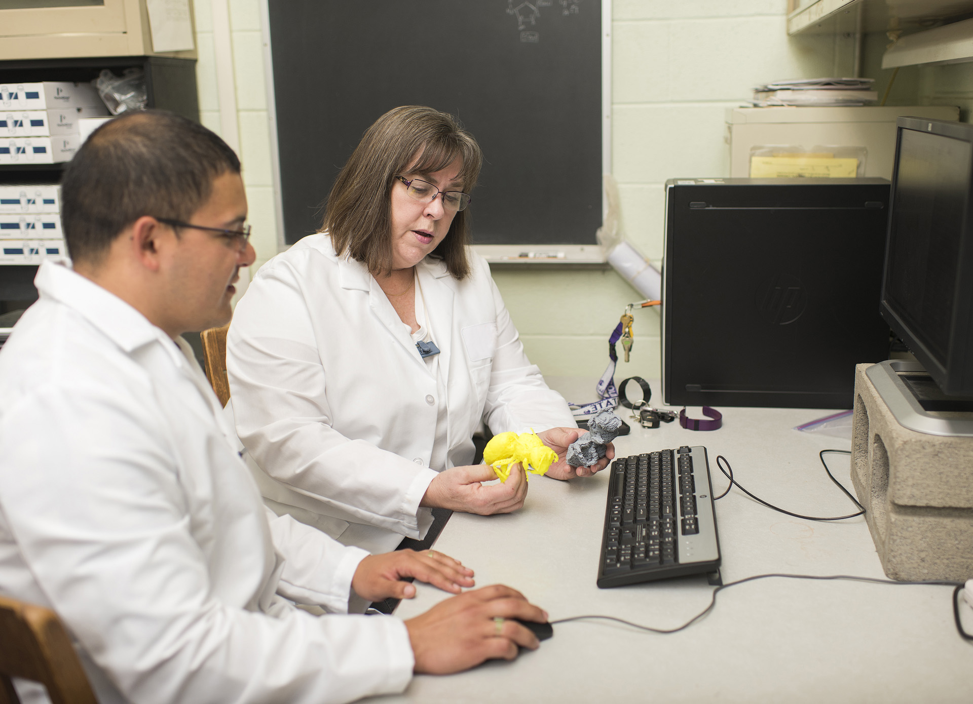Kathryn Higley, professor of Radiation Health Physics, having a discussion with a colleague in front of a computer.