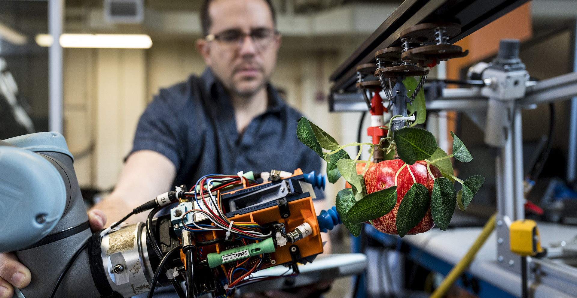 Unspecified lab equipment pointed towards a synthetic apple tree.