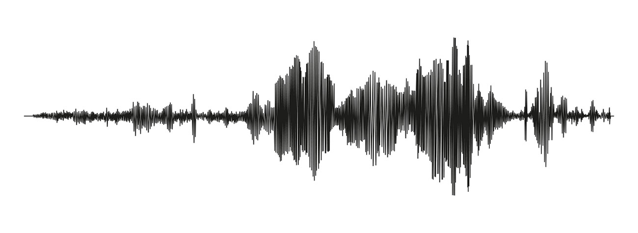 Black seismograph lines isolated on a white background.