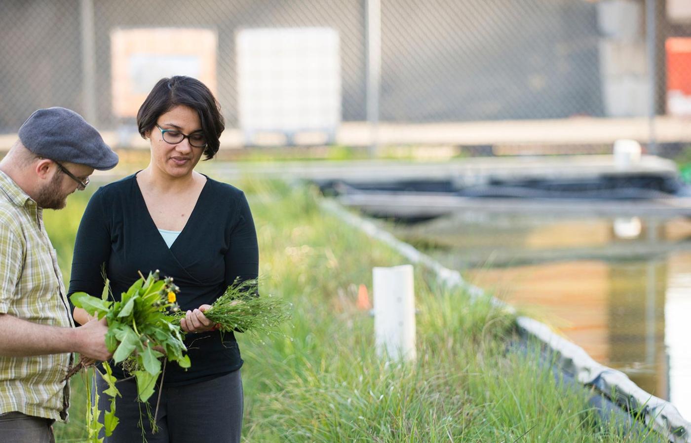 Meghna Babbar-Sebens in field