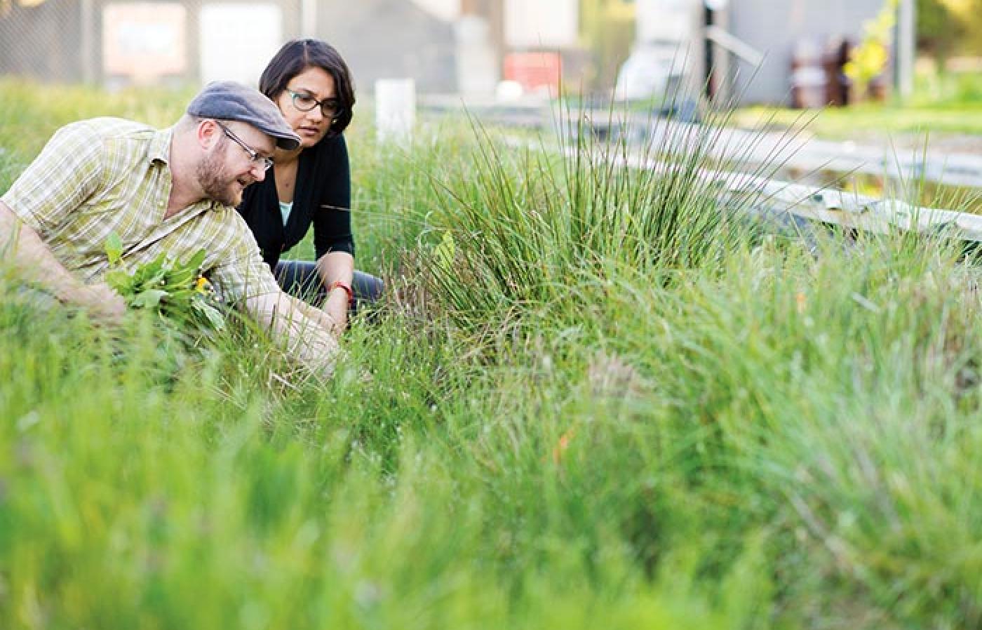 engineering professors in the field
