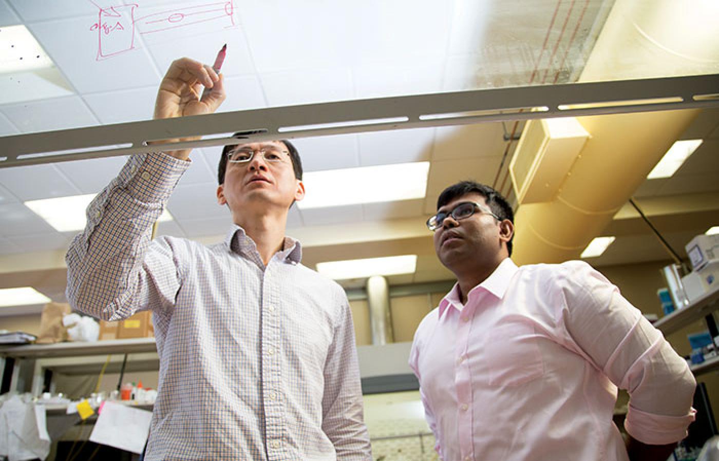 Two faculty members writing on a transparent markerboard.