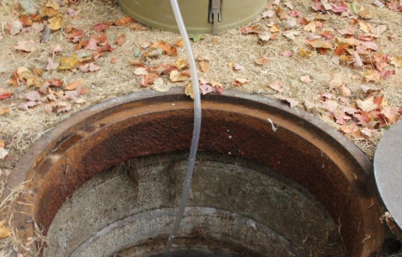 A sewer entry with leaves around it.