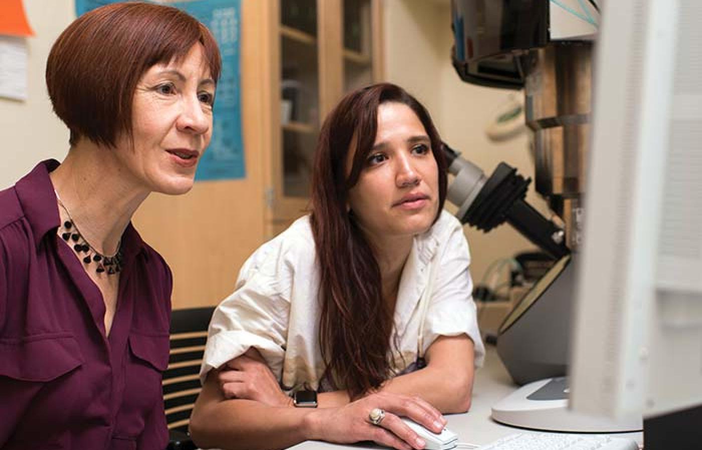 Melissa Santala and Ari Clauser analyzing catalytic nanoparticles through a computer