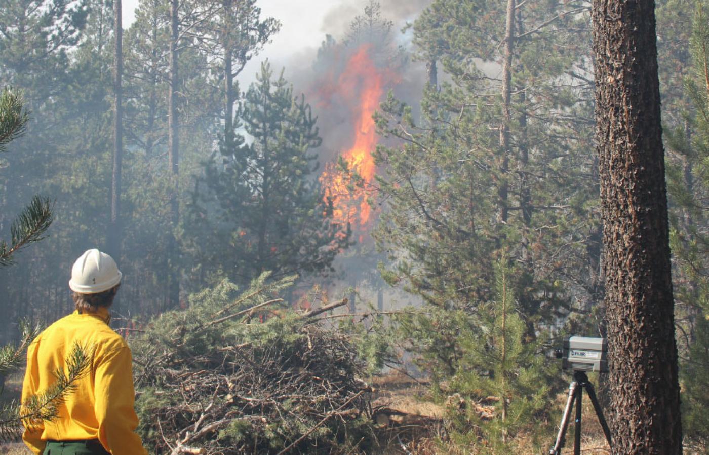 Dan Cowan collecting data from a controlled forest burn.