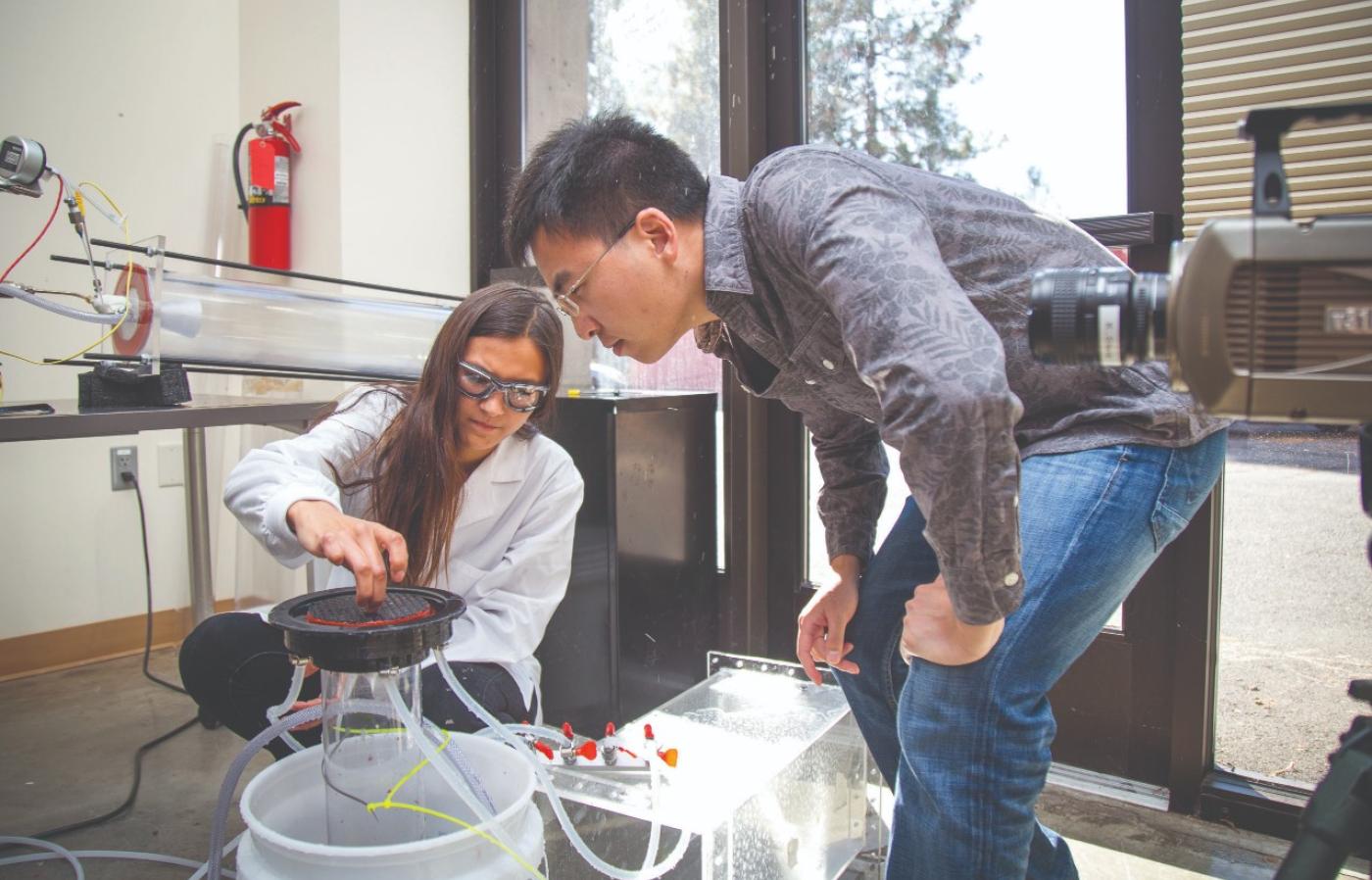 Two researchers in a lab.