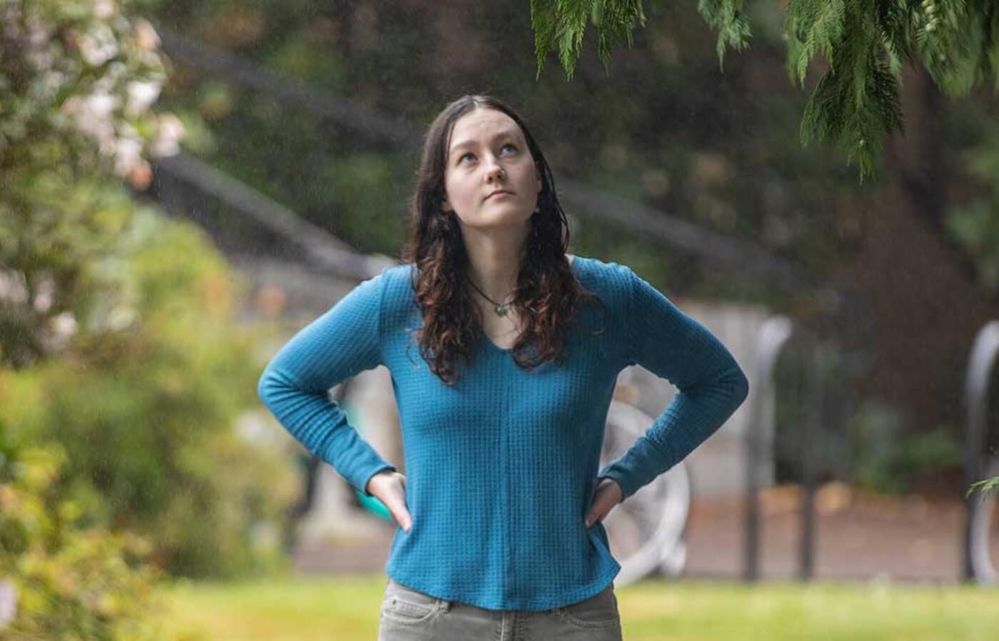 A person stands on campus path and looks up at the branches of an evergreen tree.