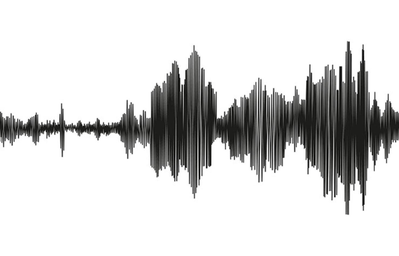 Black seismograph lines isolated on a white background.