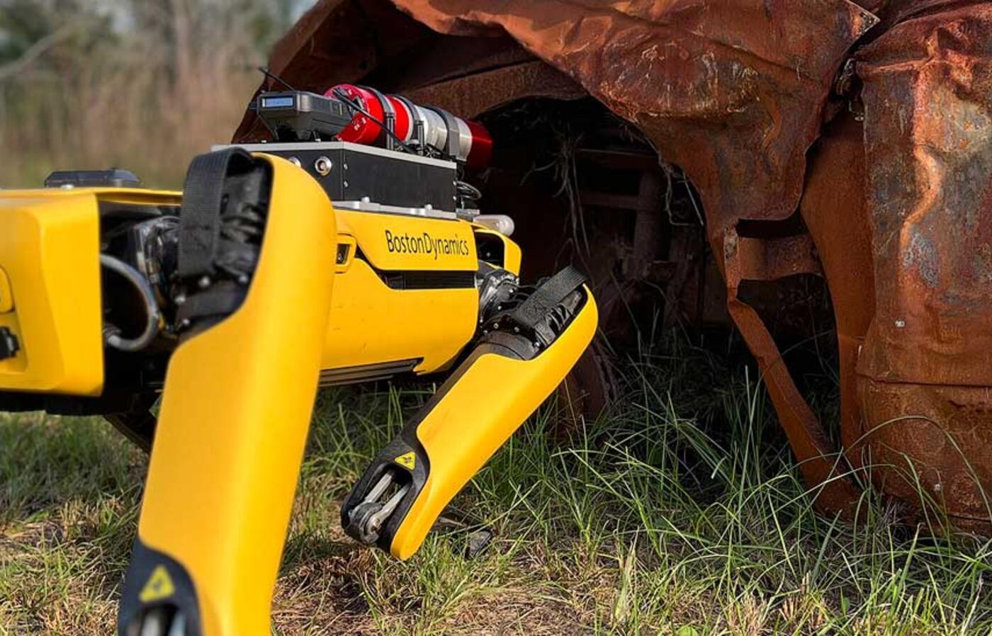 A robot with four legs steps over grass toward a rust covered vehicle.