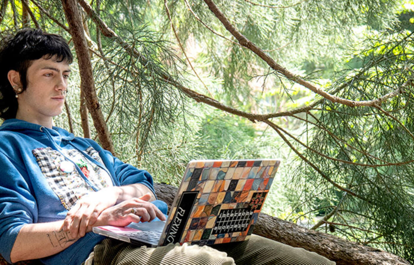 A person leans against the base of an evergreen tree and looks at a laptop.