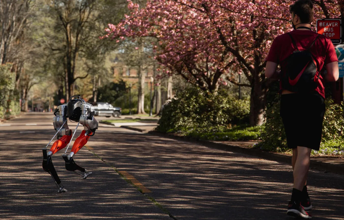 Student controls Cassie, a bipedal robot, on a campus road. 