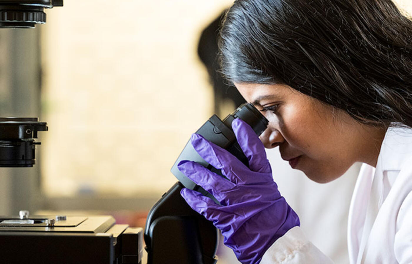 A person in a lab coat and gloves looks through a microscope.