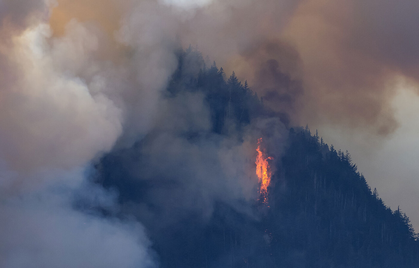 A forest fire burns on a hillside, with smoke surrounding it.