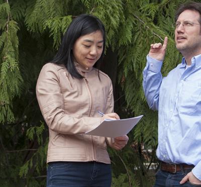 Two people standing below a bunch of pine trees. 