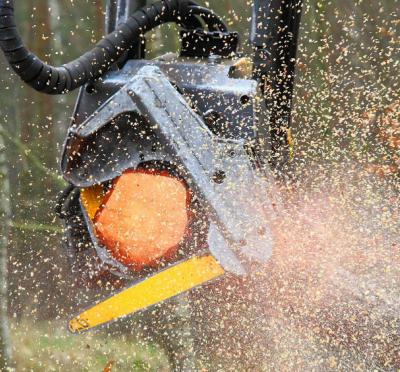 A chainsaw sawing a tree.