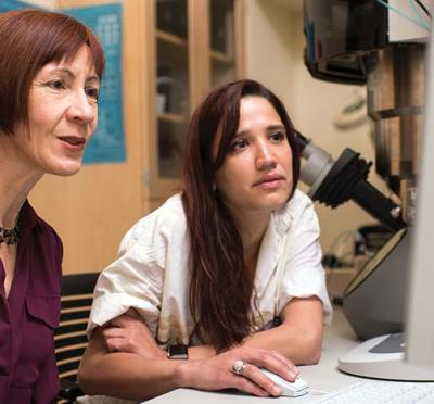 Melissa Santala and Ari Clauser analyzing catalytic nanoparticles through a computer