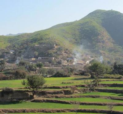 Image of green landscape