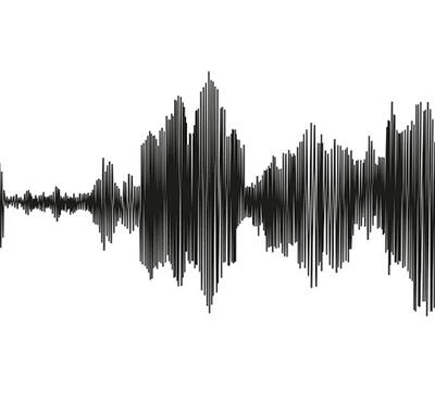 Black seismograph lines isolated on a white background.