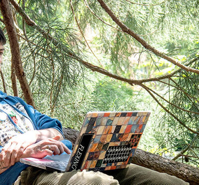A person leans against the base of an evergreen tree and looks at a laptop.