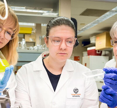 Three people in lab coats examine liquids in glass equipment.