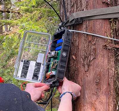 Two people secure an electronic sensor enclosure to a tree in a forest.