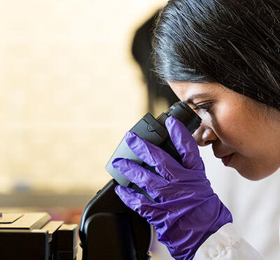 A person in a lab coat and gloves looks through a microscope.