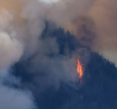 A forest fire burns on a hillside, with smoke surrounding it.