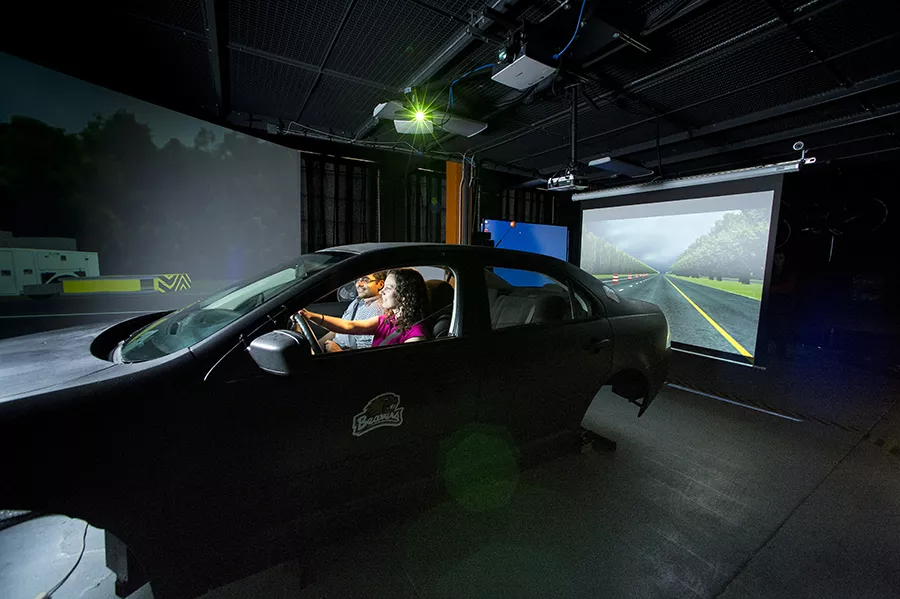 people in driving simulation