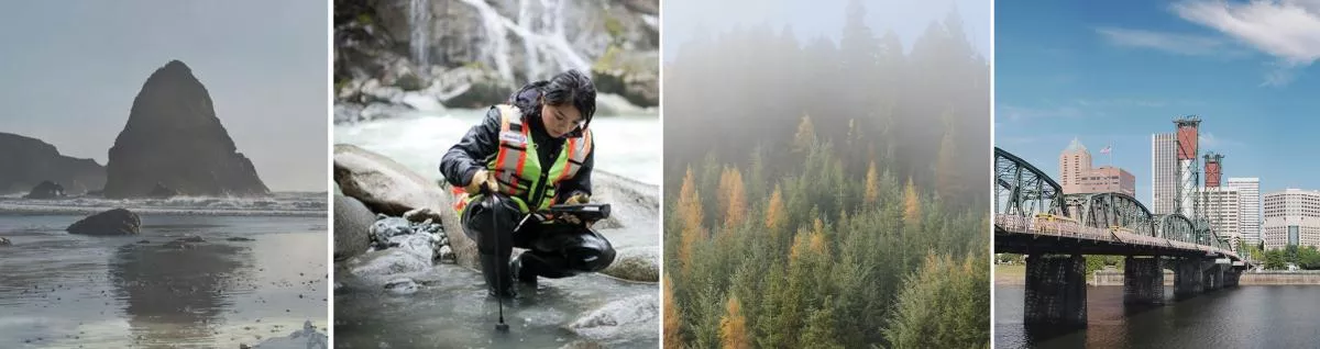 Four pictures in a line. The first picture is from a mountain, the second picture is a student collecting samples on water, the third picture is a forest, and the fourth picture is a bridge and several buildings.