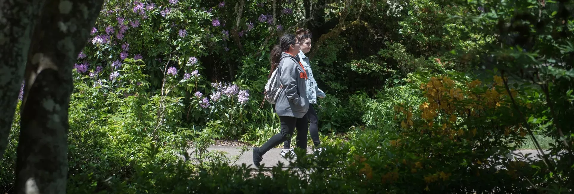 Two students walking through campus.