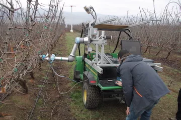 Robot pruning branches in an orchard.