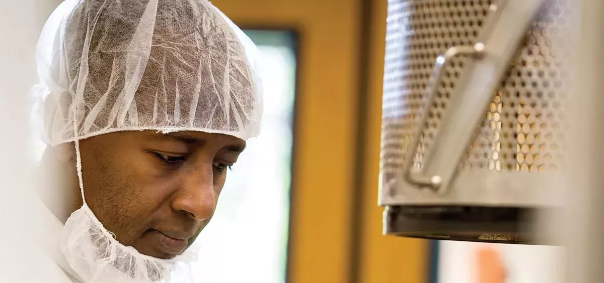 A researcher working in a lab