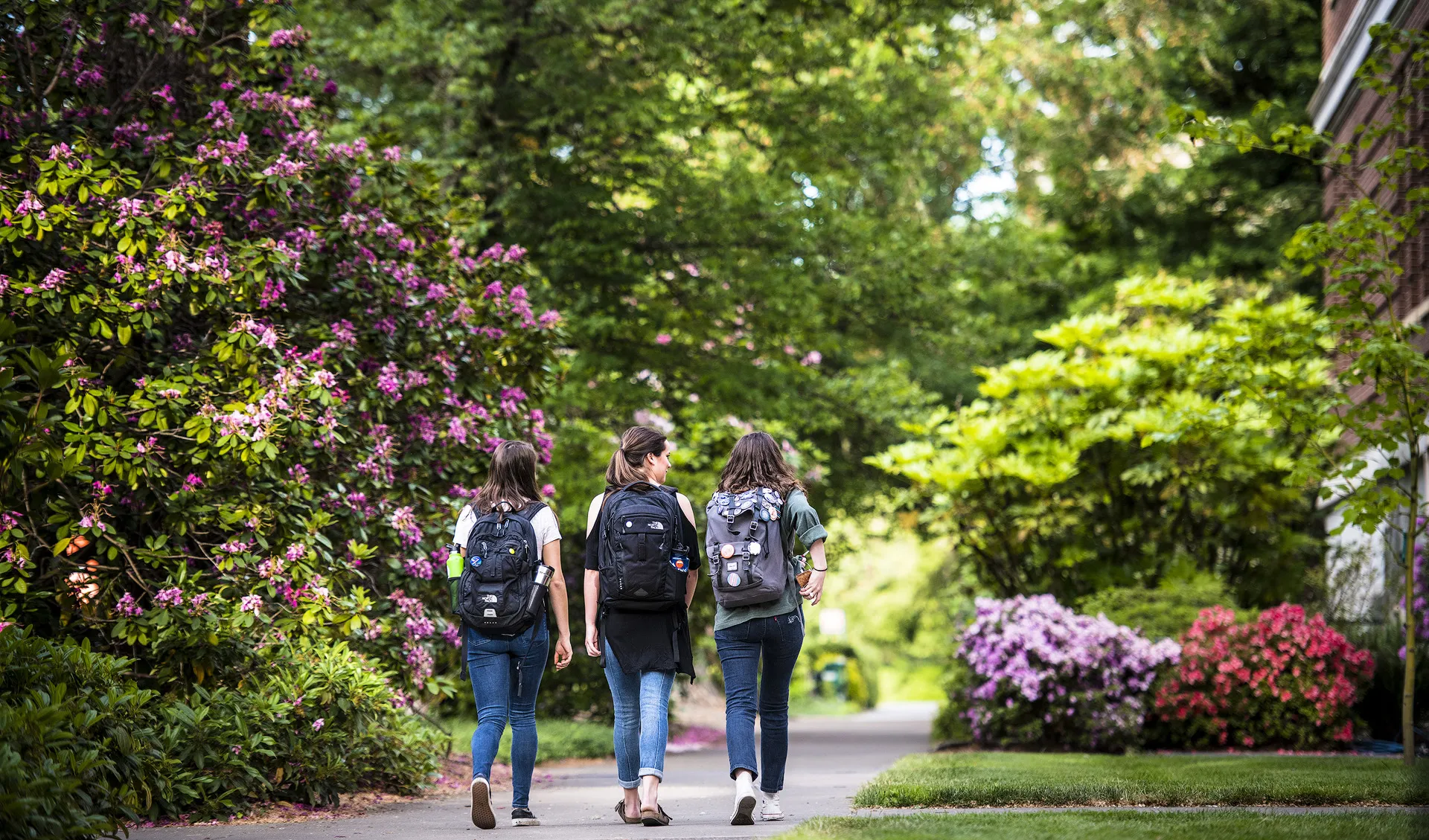 Three students walking along a pathway 