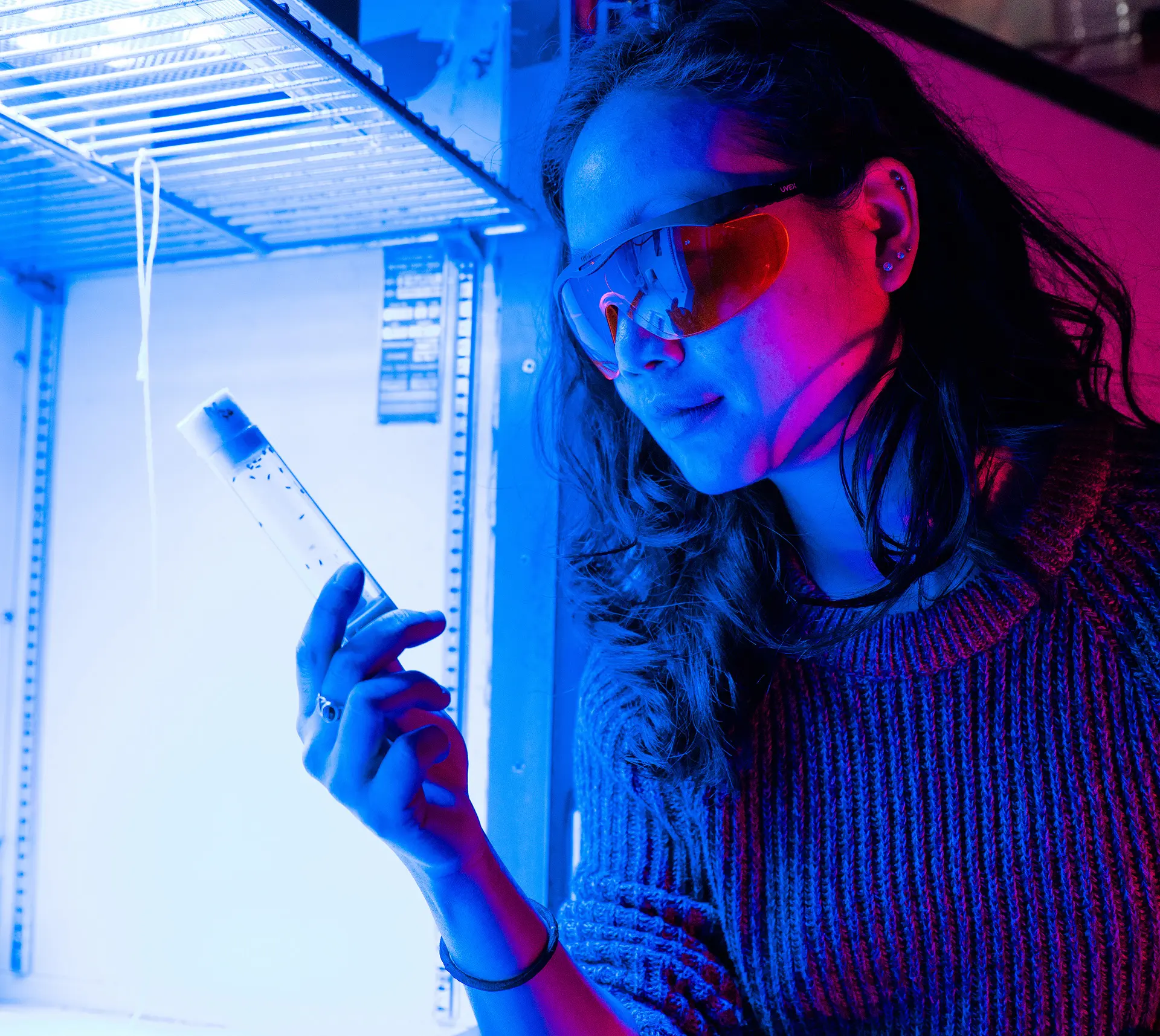 Student in a lab looking at a test tube.