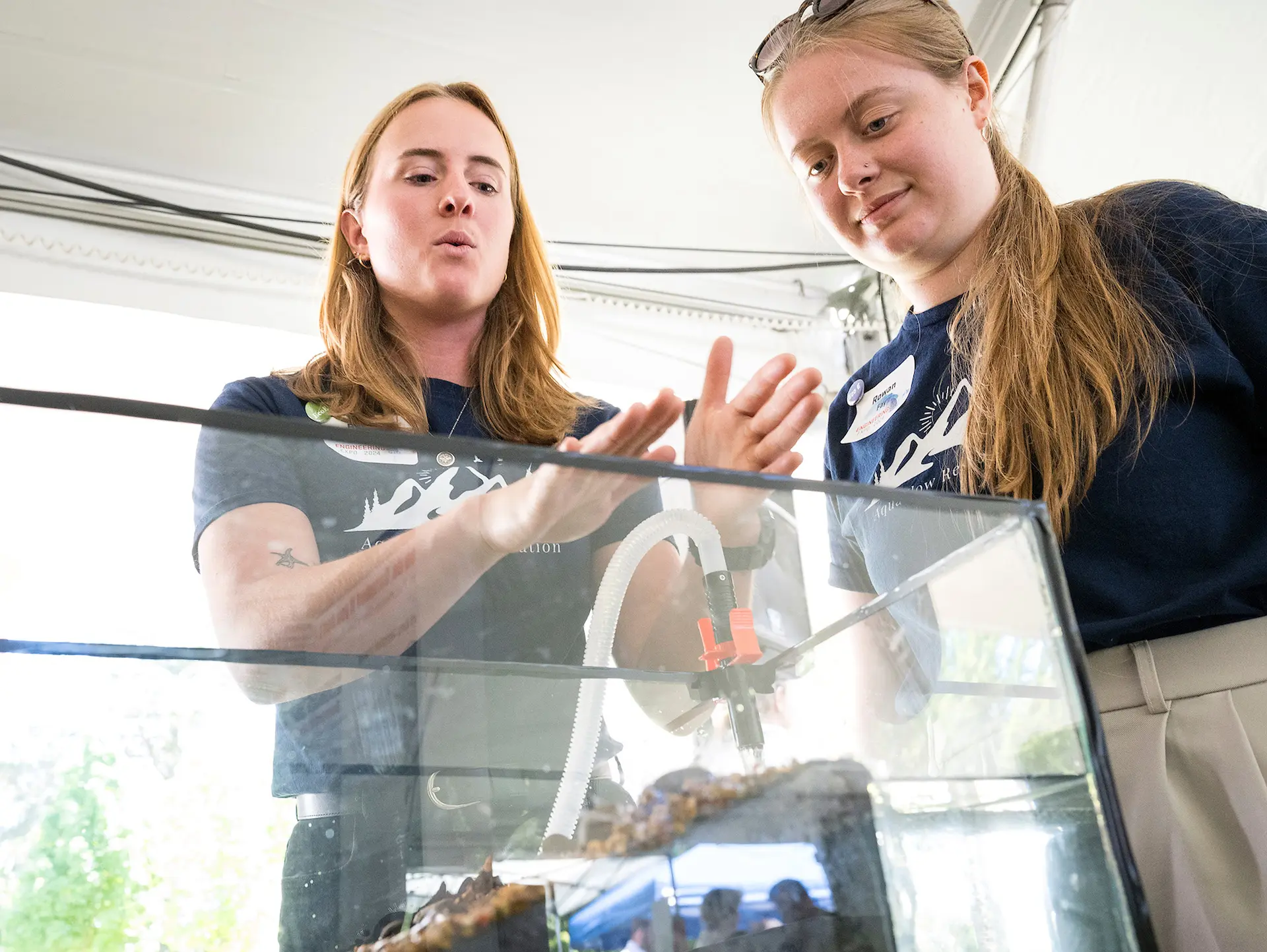 Two students looking over a fish tank.