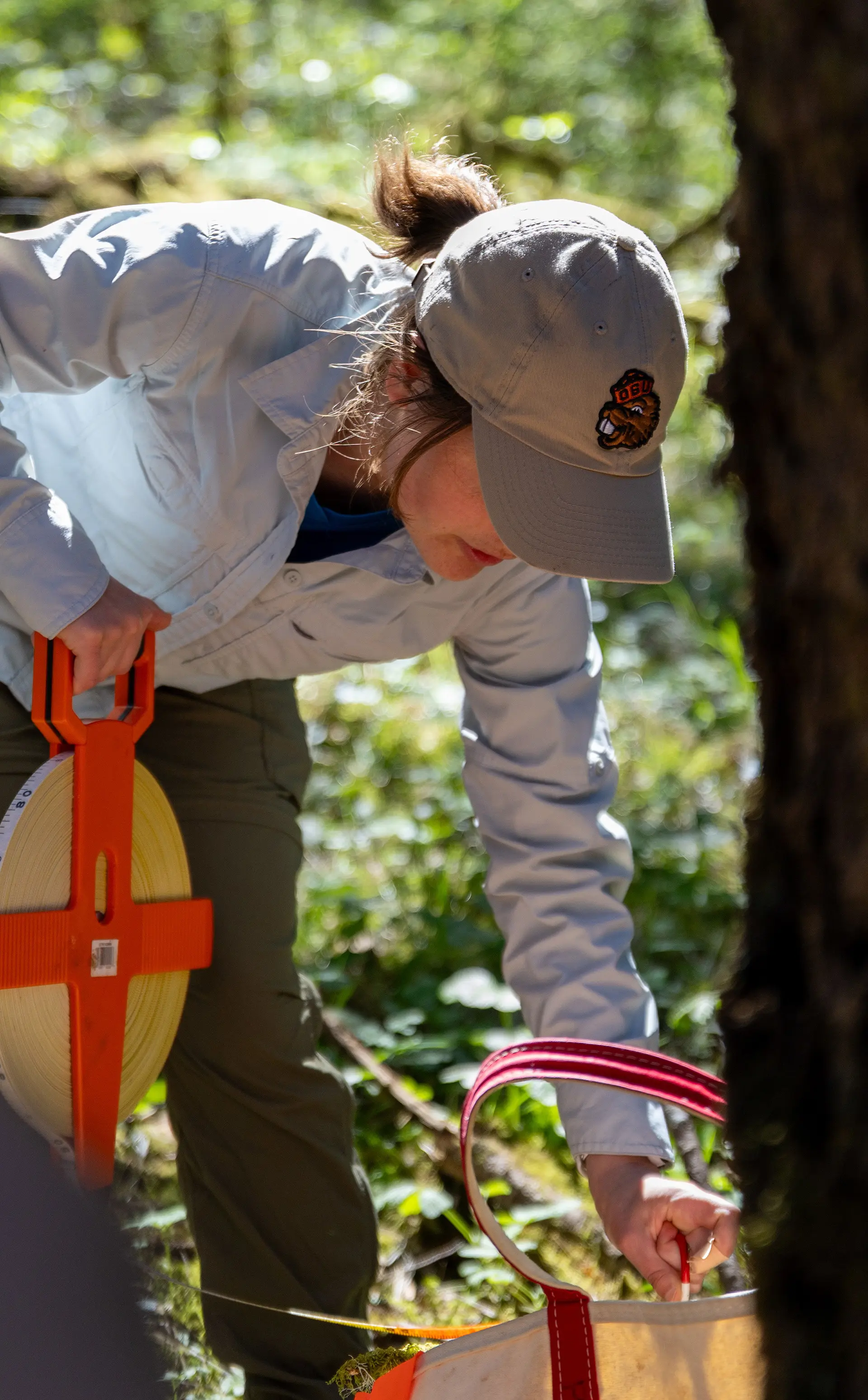 Researcher bends down to push a stake into the forest floor while holding a measuring reel.