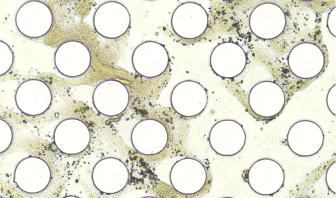 A close-up view of microscopic material with circular shapes on a light yellow background.