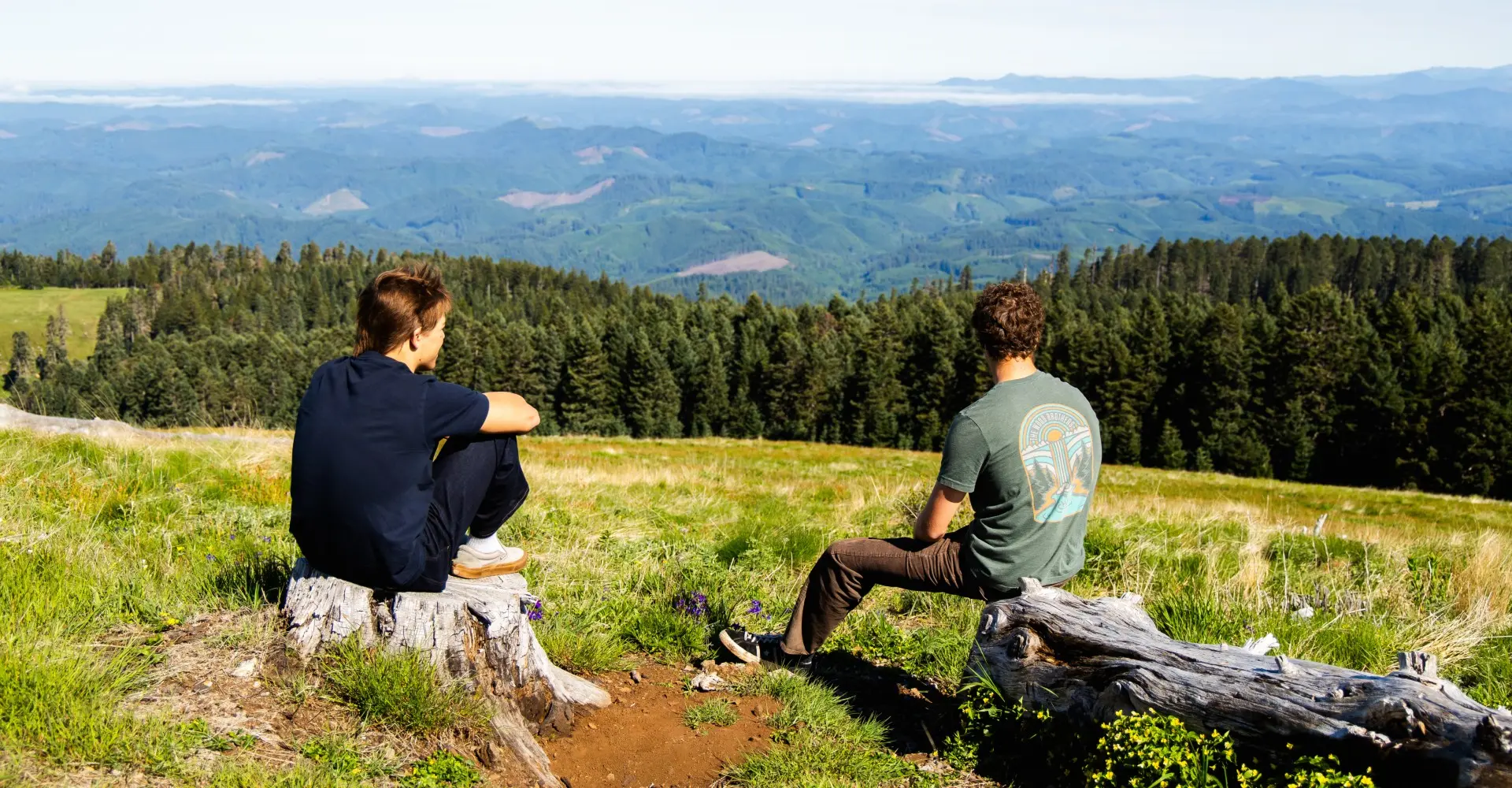 Two student researchers sitting on wood logs in a grassy field facing a wooded pine forest.