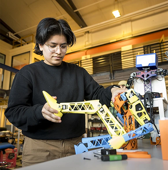 Student analyzing models of cranes.