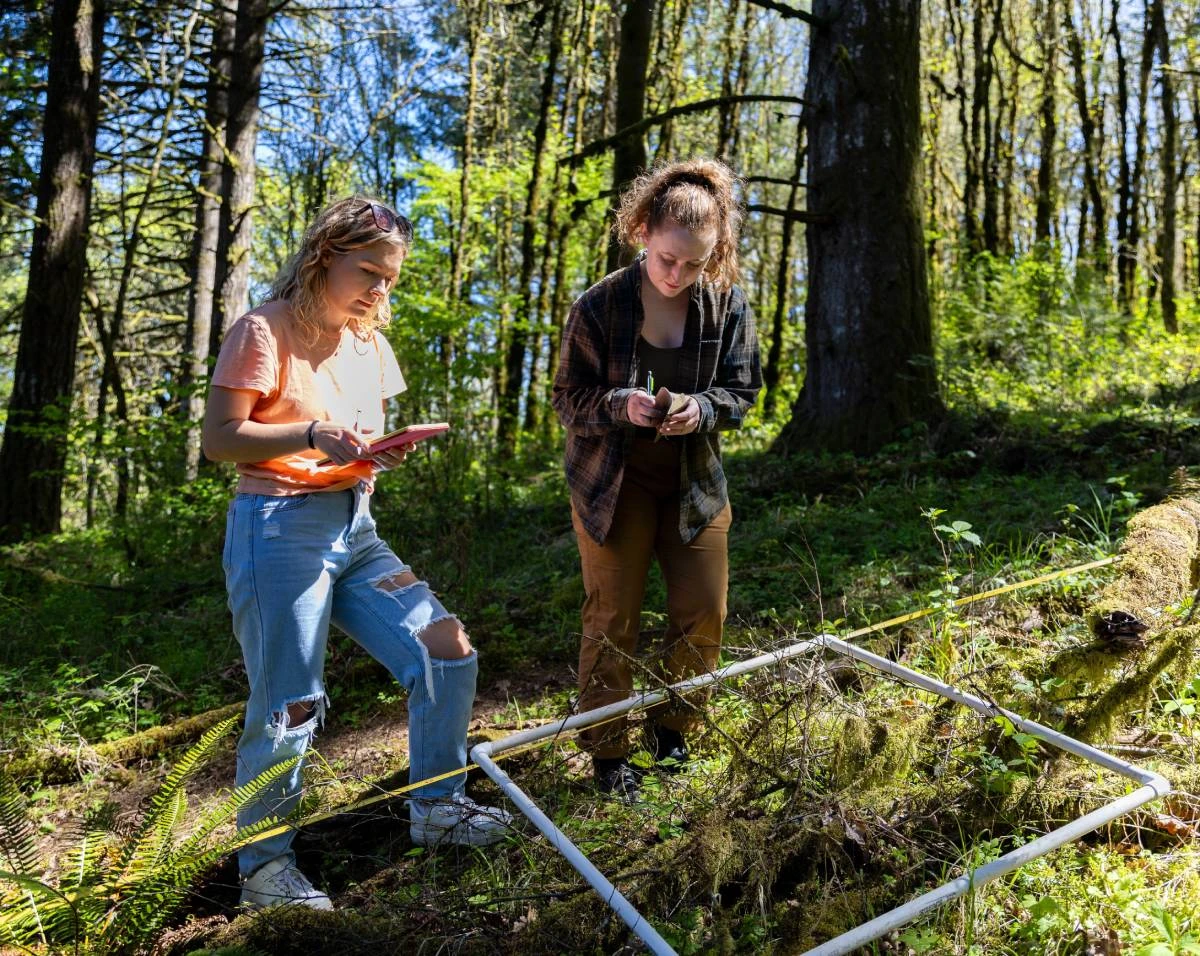 Two students record field data in a forest using a PVC quadrat frame.