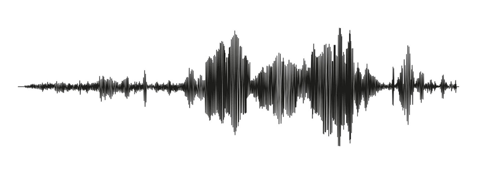 Black seismograph lines isolated on a white background.