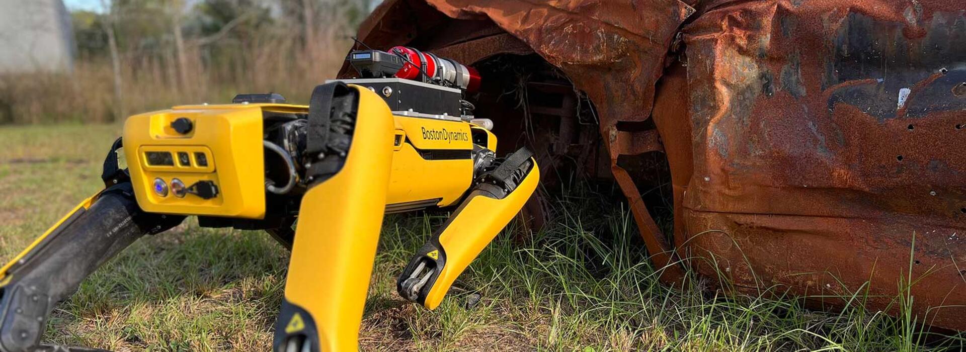 A robot with four legs steps over grass toward a rust covered vehicle.