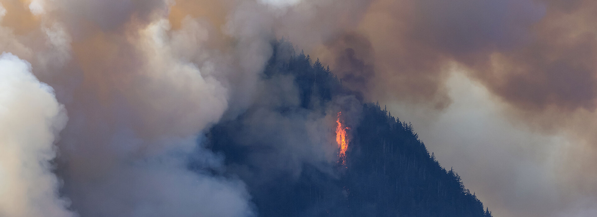 A forest fire burns on a hillside, with smoke surrounding it.