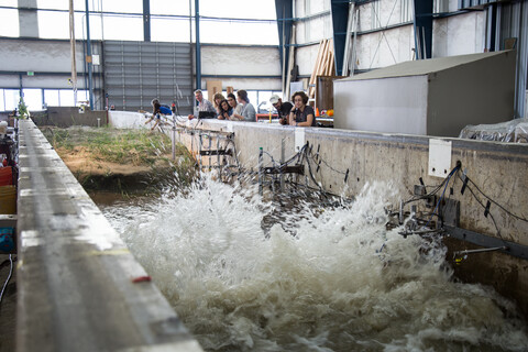 A group of researchers looking at a pool with artificial waves.